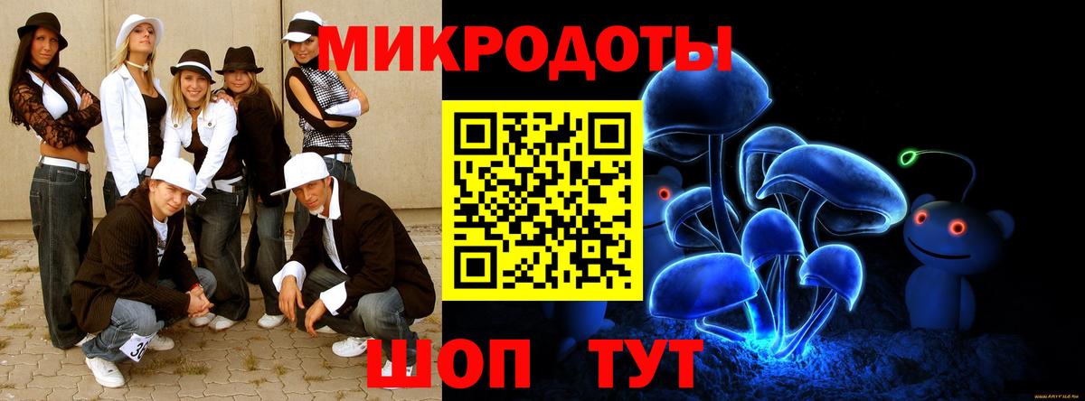 Псилоцибиновые грибы Cubensis  Галлюциногенные грибы Psilocybine cubensis  Всеволожск 