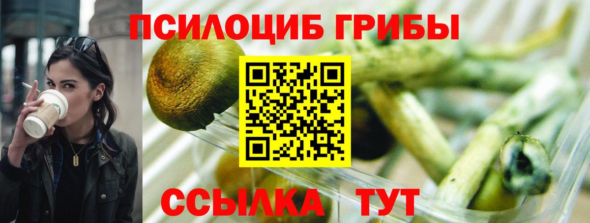 Всеволожск  Галлюциногенные грибы Magic Shrooms  Вход с VPN  Псилоцибиновые грибы мухоморы 