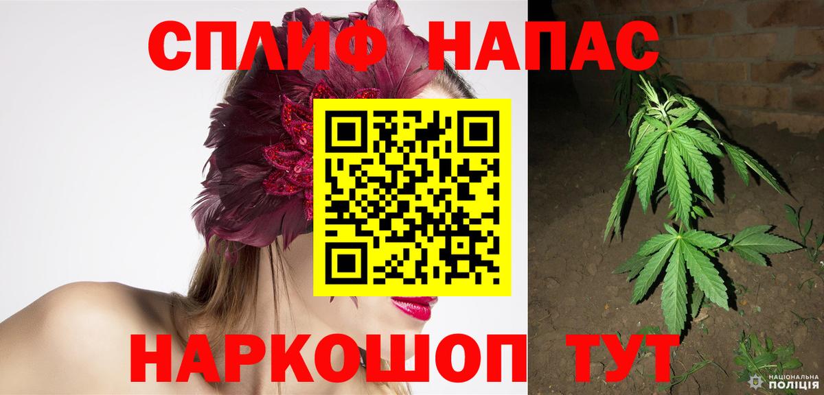 Каннабис сатива Всеволожск